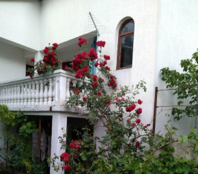 Apartman Sunce, Raslina